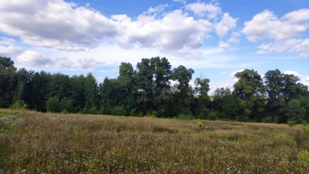 Grundstück 5000 m2 in Pirogovo - private Lage, Investitionspotenzial