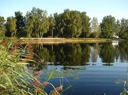 Plot 5000 m2 in Pirogovo - private location, investment potential - Image 3
