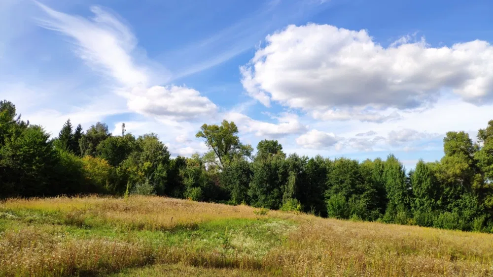 Plot 5000 m2 in Pirogovo - private location, investment potential - Image 5